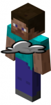 steve1.png steve1.png