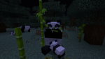 72.png 72.png