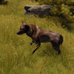 Wolf_new.png Wolf_new.png