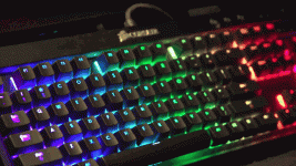 1.gif 1.gif