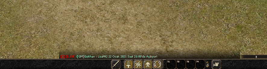 hizlipm.png