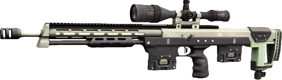 DSR1