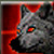 SJvpdw.jpg