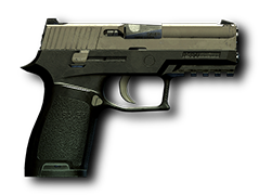 P-350 resim