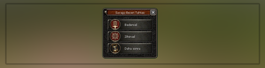 hizlibeceri.png